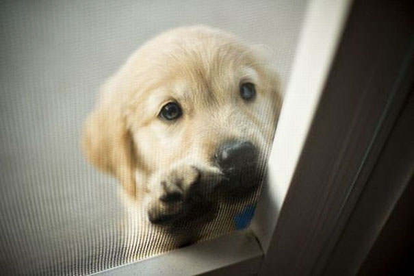 Hey I Forgot My Keys, Can You Let Me In?