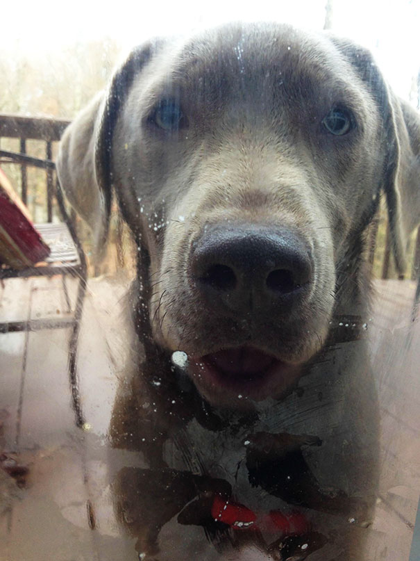Hey It's Cold Outside. Let Me In!
