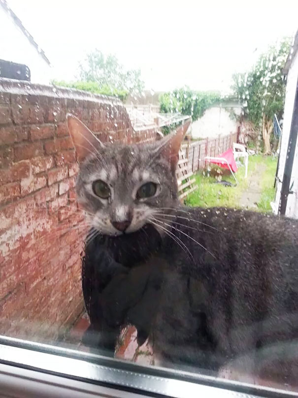 Bro, Let Me In. I Have Something For You