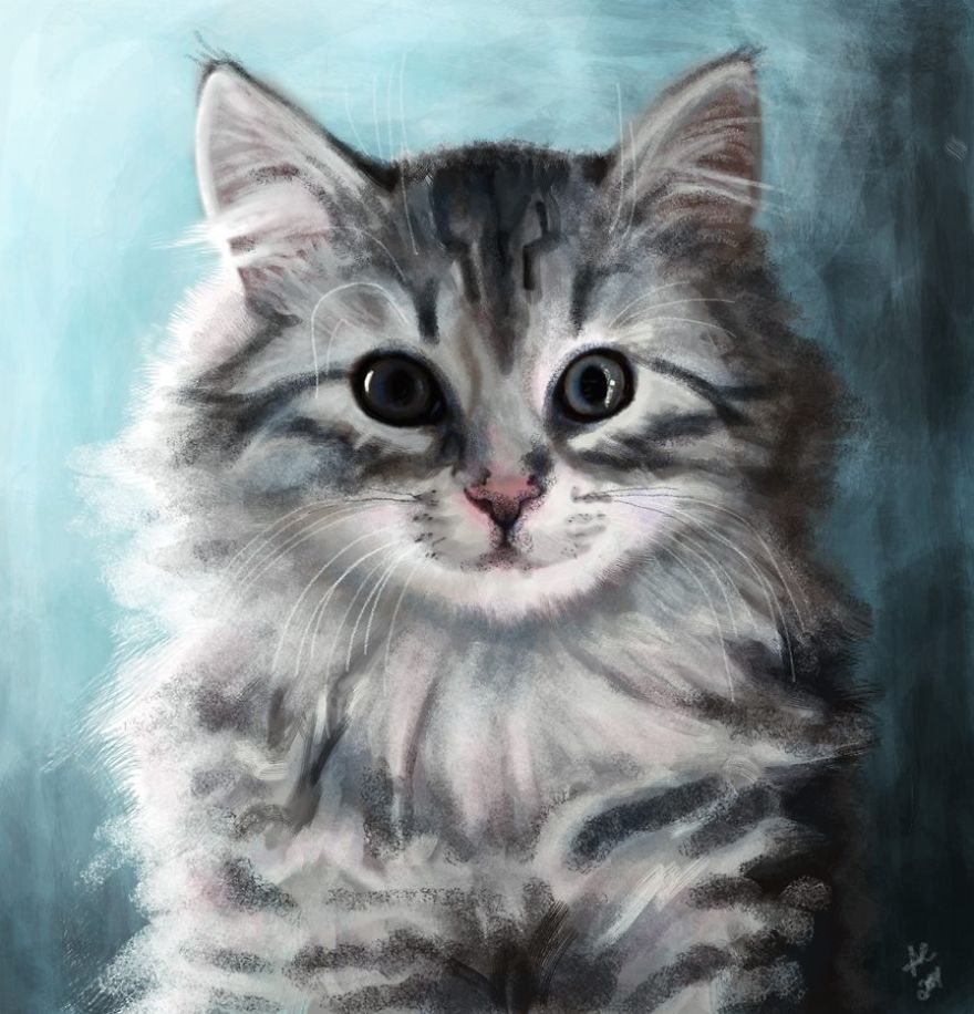 I Completed A Series Of Beautiful Cat Digital Drawings