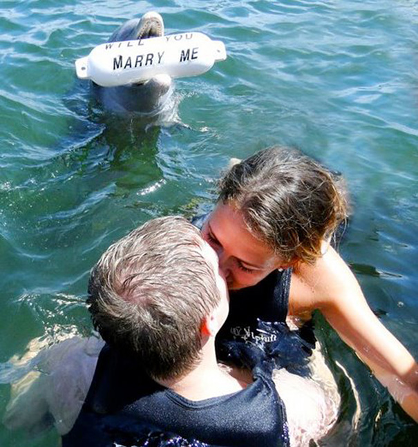 "All the effort the dolphin put in for this proposal, and she still goes for the other guy"