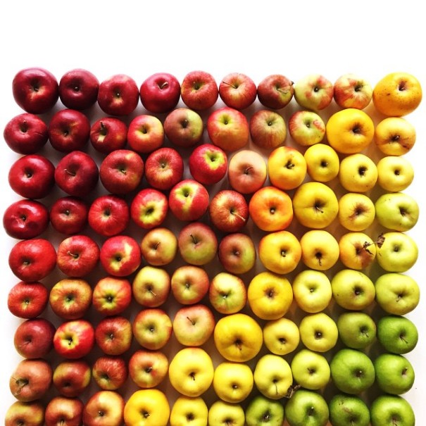 Photographer Arranges Foods In Beautiful Color Gradients That Will Soothe Your Soul