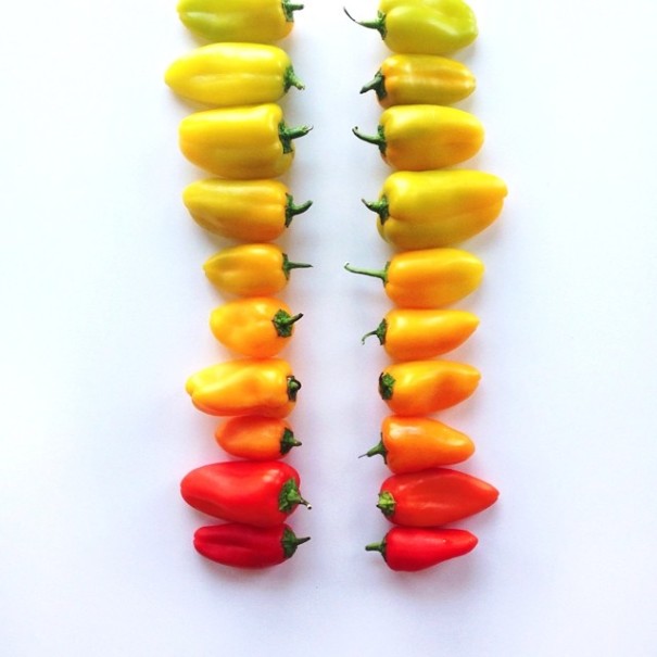 colorful-food-arrangement-photography-foodgradients-brittany-wright-20