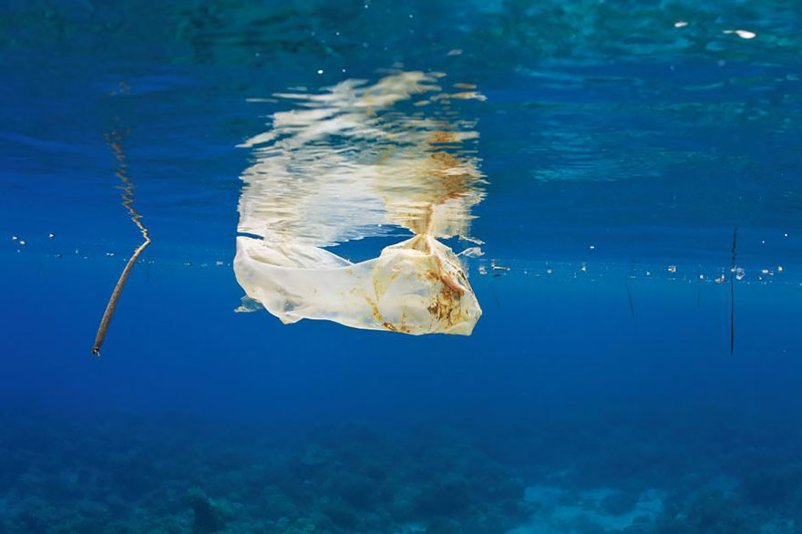 Plastic Bag Floats In The Sea Off The Philippines. Ocean Plastic Has Turned Up Literally Everywhere - In The Deep Sea And Buried In Arctic Ice