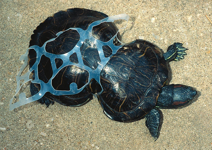 119 Heartbreaking Photos Of Pollution That Will Inspire You To Recycle