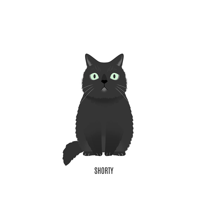 famous-internet-cats-illustrations-nuro-nuro16