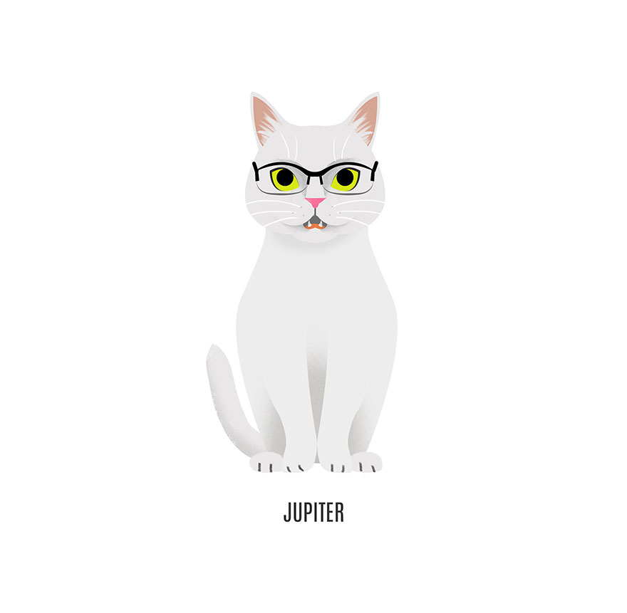 famous-internet-cats-illustrations-nuro-nuro7