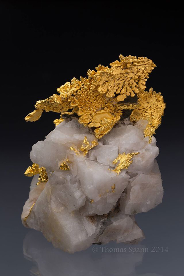 Gold (Dragon) On Quartz