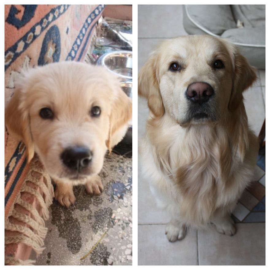 3months To 6years