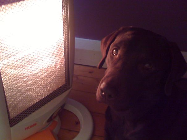 Millie And The Heater