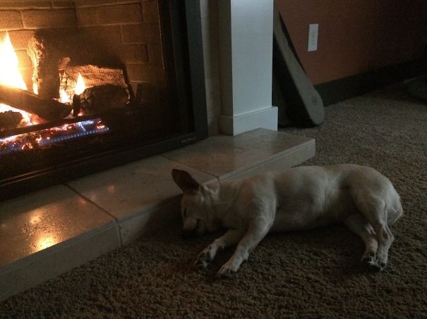 Peanut By The Fire