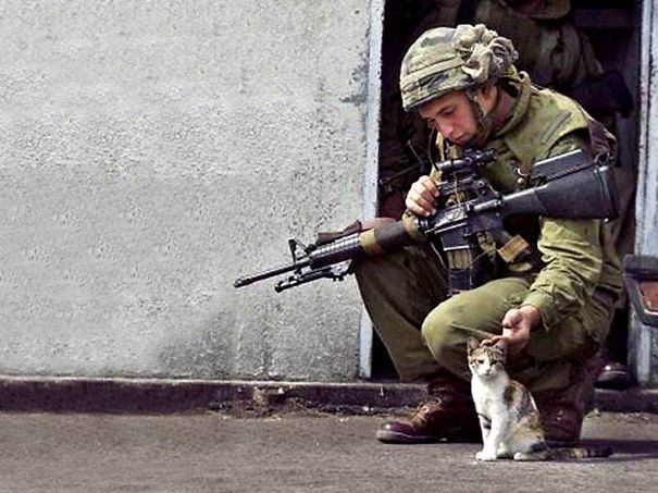 Soldier And Kittens