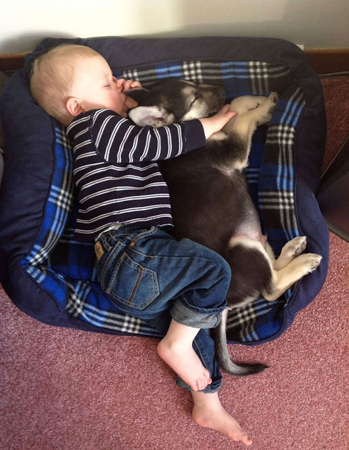 30 Adorable Photos Proving That Your Kids Need A Dog | Bored Panda