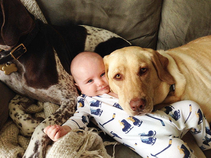 Dog Cuddling A Baby