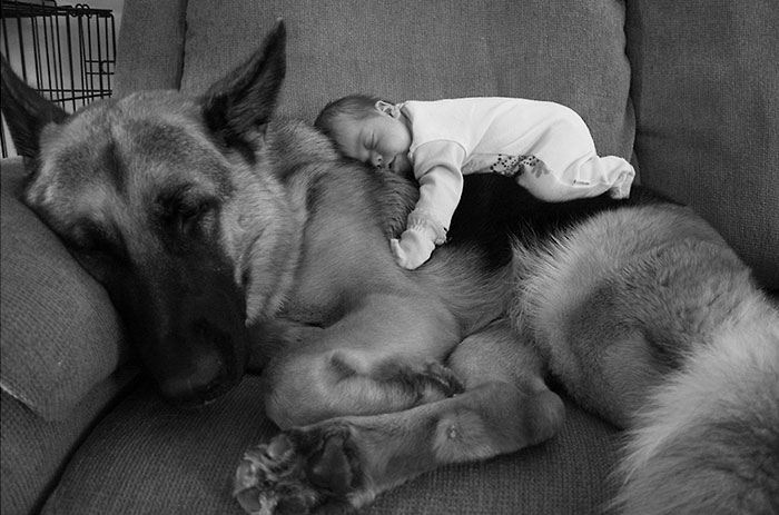 30 Adorable Photos Proving That Your Kids Need A Dog