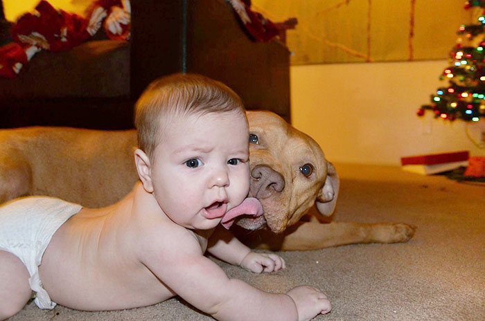 Baby And Dog