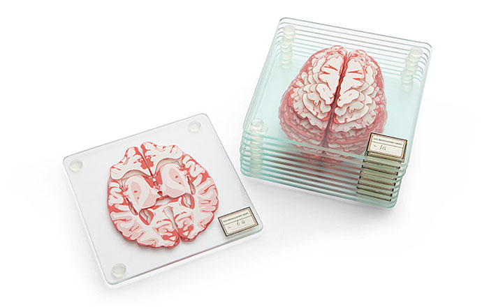 Stackable Brain Specimen Coasters That Form A 3D Brain On Your Table