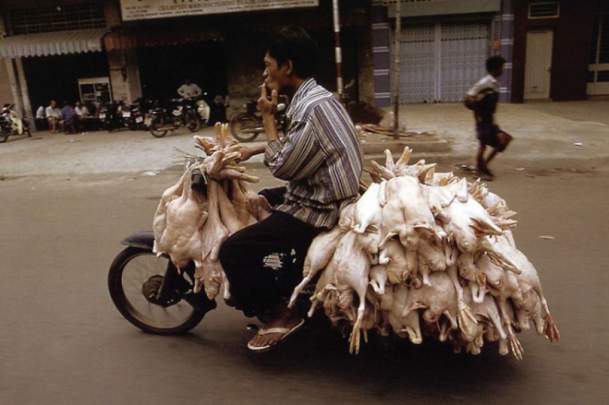 Man Transporting Birds
