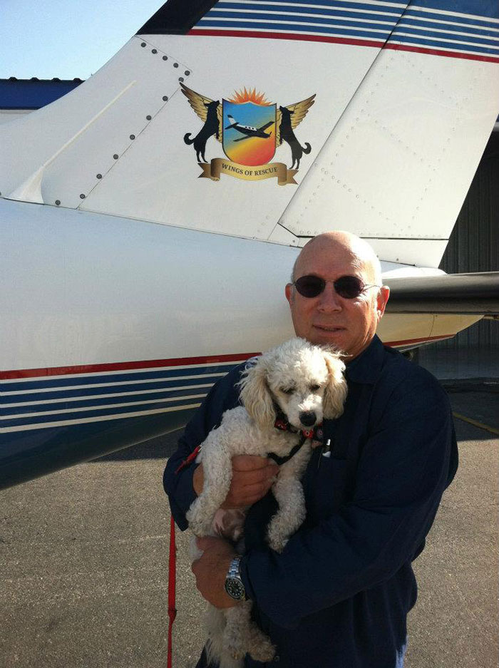 shelter-dog-airplane-transport-wings-of-rescue-yehuda-netanel-3