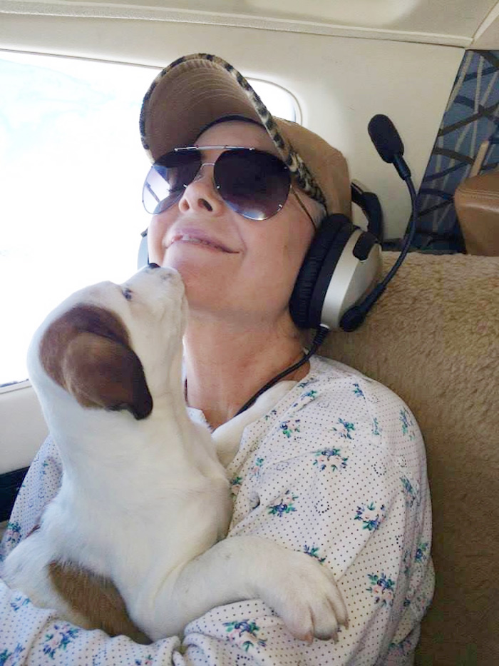 Volunteer Pilots Fly Shelter Dogs To New Homes To Save Them From Euthanasia