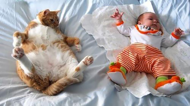 Cat And Baby