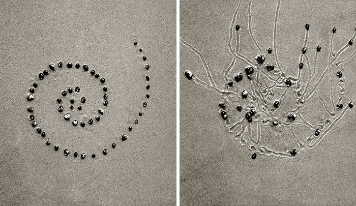 I Collaborated With Snails To Create These Sand Drawings