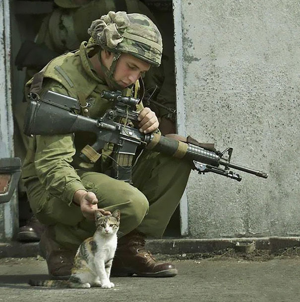 Soldier Petting A Cat