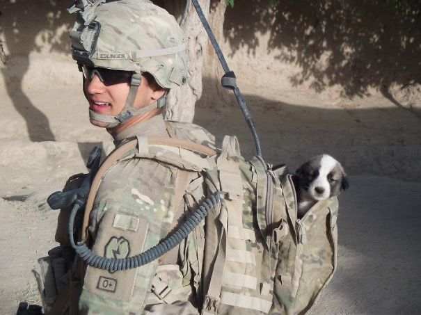 Soldier With His Rescued Puppy