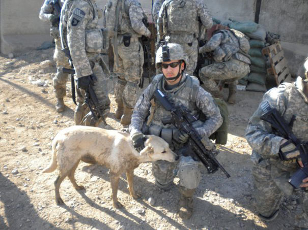 Soldier With His Deployment Dog