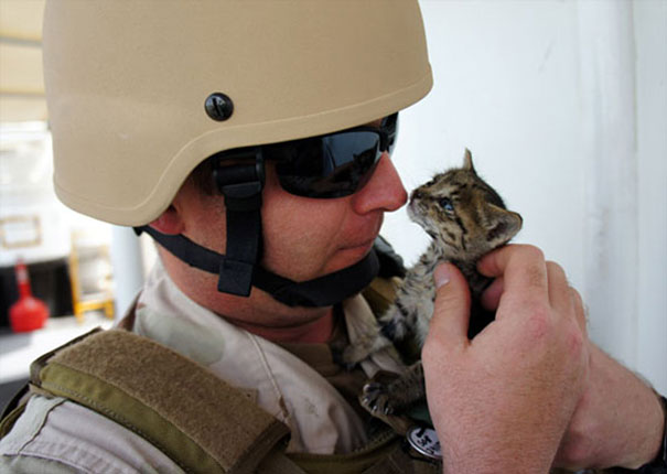 Soldier With A Kitty