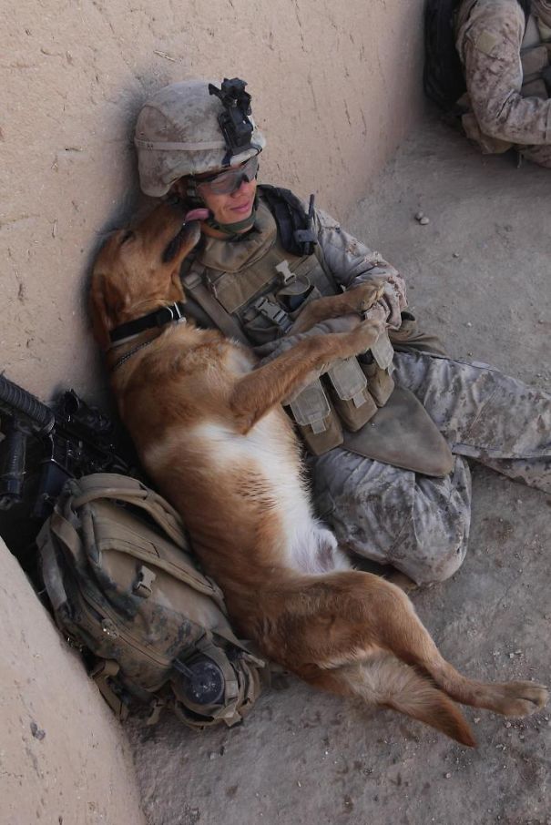 Soldier With His Dog