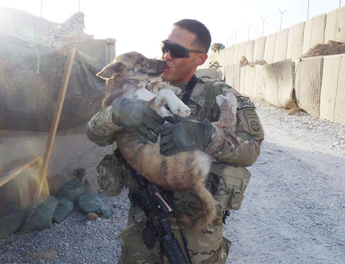 57 Soldiers And Pets Who Became Best Friends Overseas