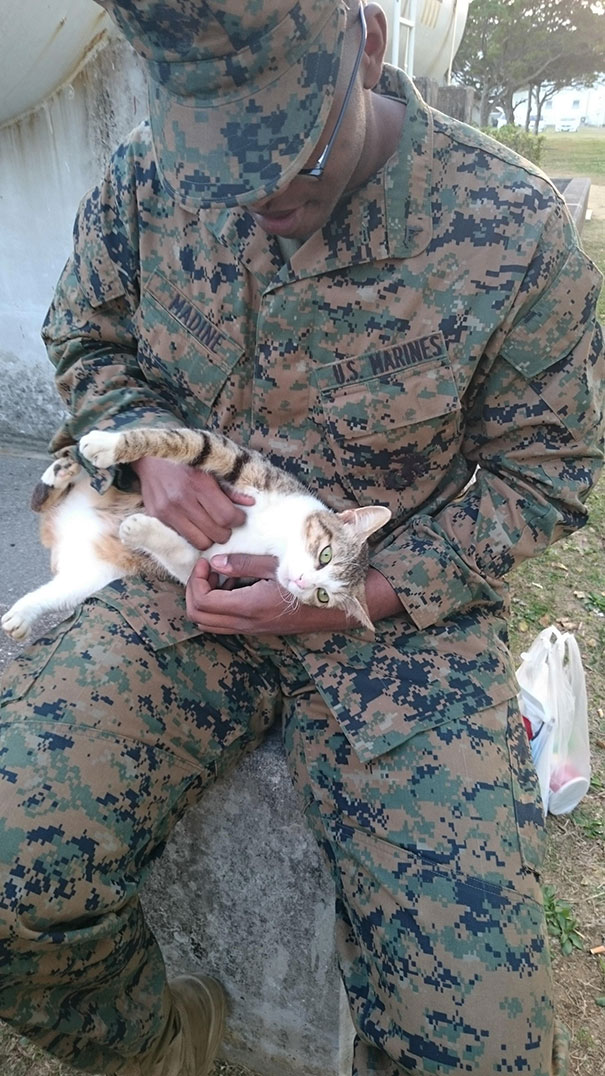 I Made A New Friend At The Barracks Today