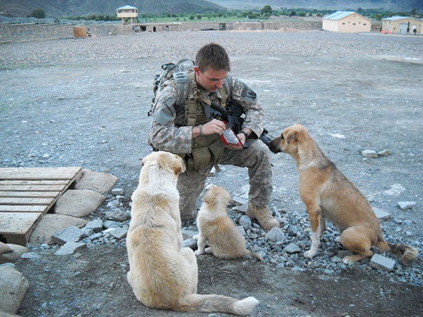 Soldier And His Best Friends