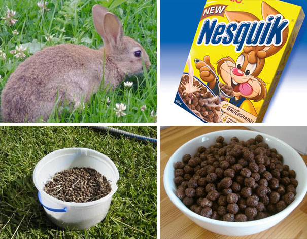 Nesquik Cereal Looks Like Rabbit Poop