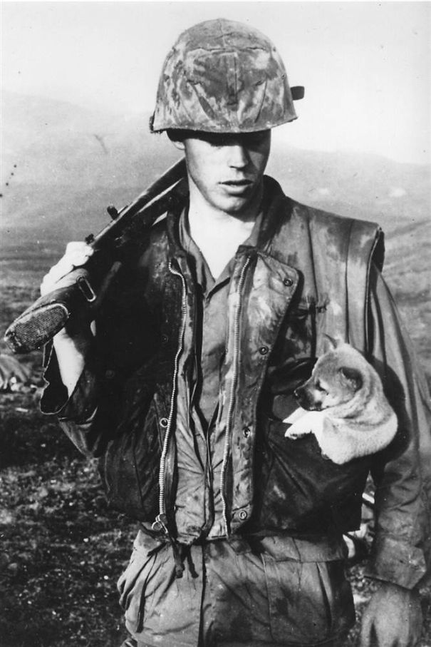 A U.S. Marine Carries A Rescued Puppy In His Pocket. Da Nang, Vietnam, 1968