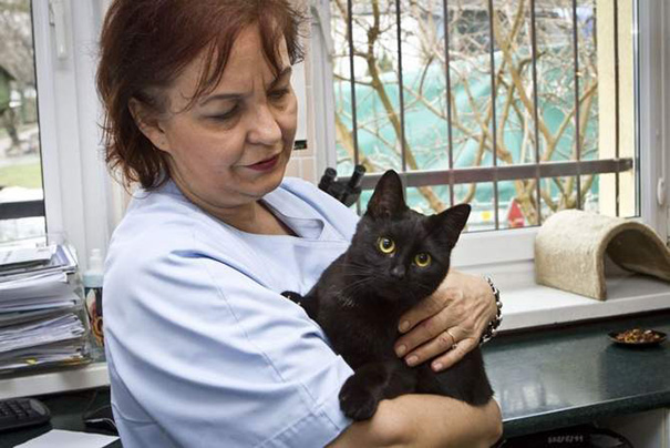 veterinary-nurse-cat-hugs-shelter-animals-radamenes-bydgoszcz-poland-2