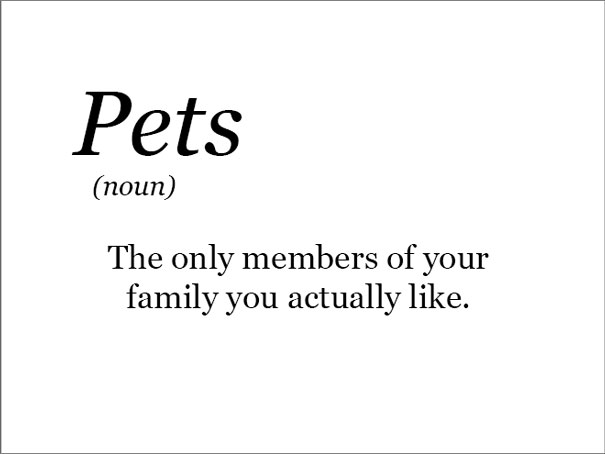 The Real Meaning Of Pets