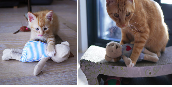 8 Months Apart, Rupert The Bear Is Still Eric's Favourite Toy