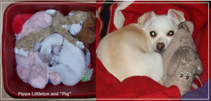 Pippa Littleton And "pig" - 4 Years Apart.