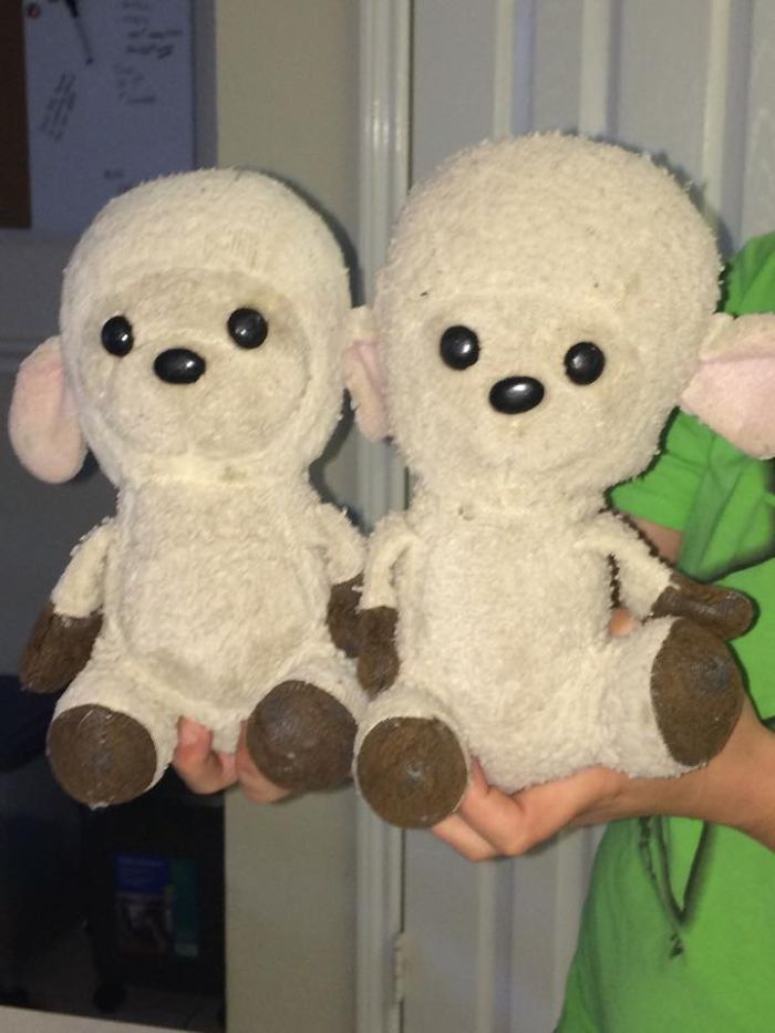 I've Had Larry For 31 Years (on The Right) My Mom Gave Lucy To Me (left) 21 Yrs Later.