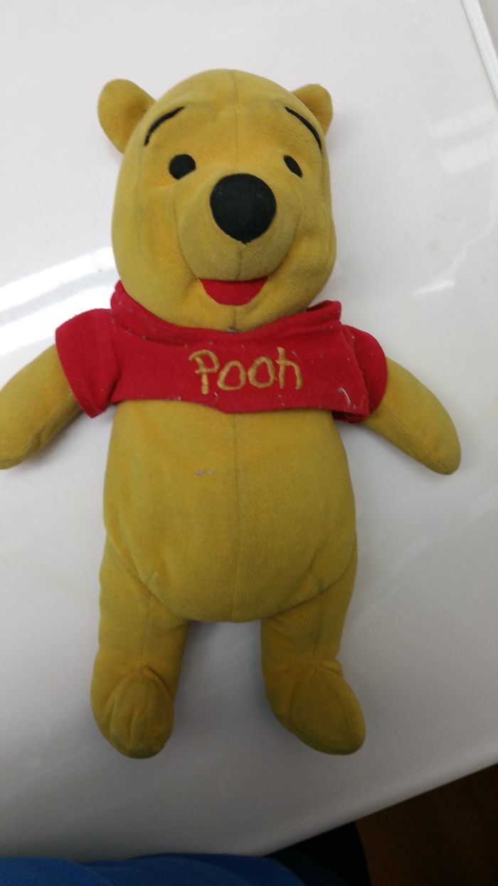 My Pooh Bear, That Is 20 Years This July And Lives In My Bed Whereever I Call Home!