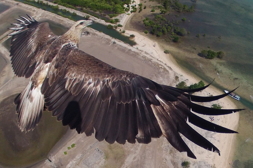 9 Of The Most Amazing Shots Captured By A Drone