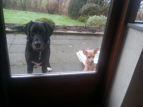 Please Let Us In!