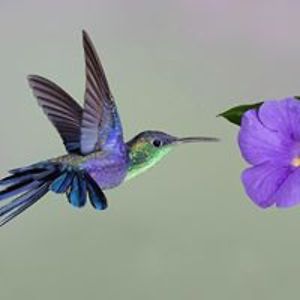 totspotangel1socalmom avatar