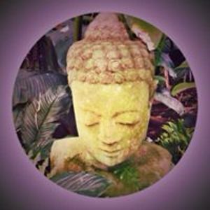 lynmarkgaffney avatar