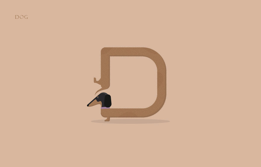 Animal Alphabet Made From The First Letters Of Their Names | Bored Panda