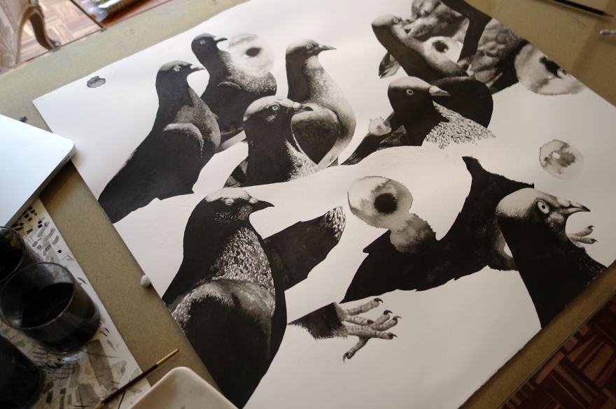 I Drew Pigeons From Johannesburg To Portray Their Beauty