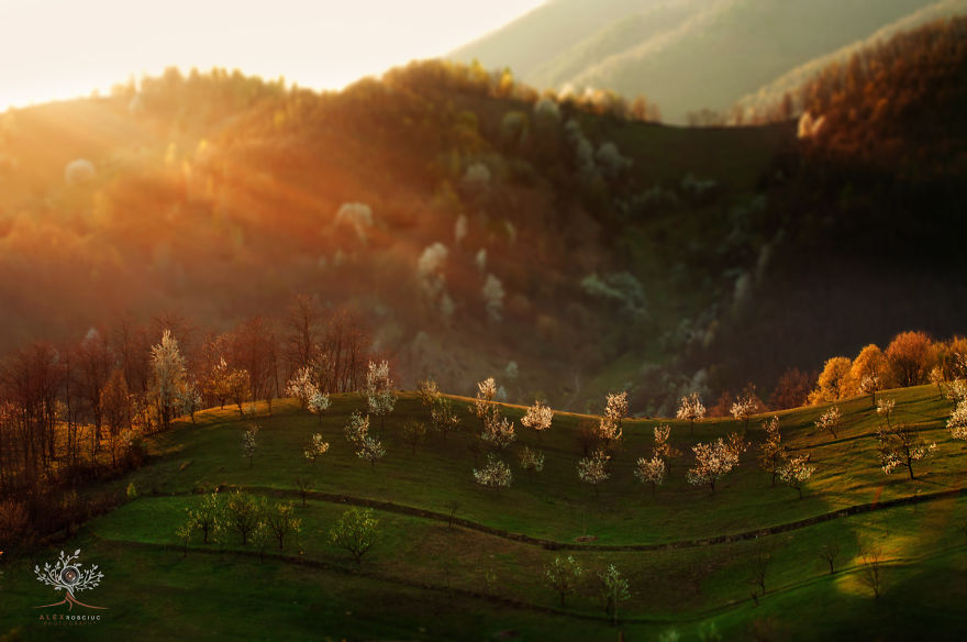 Transylvanian Dawns And Dusks