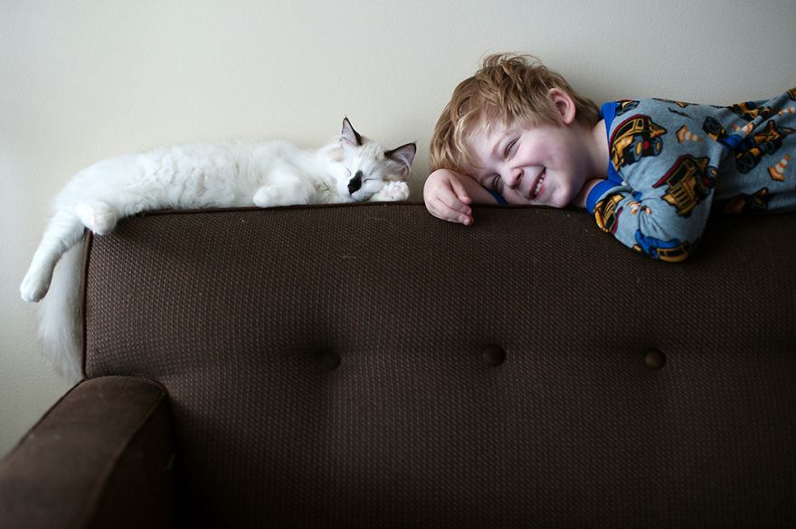 A Boy And His Cats: I Document The Bond Between My Boys And Their Cats